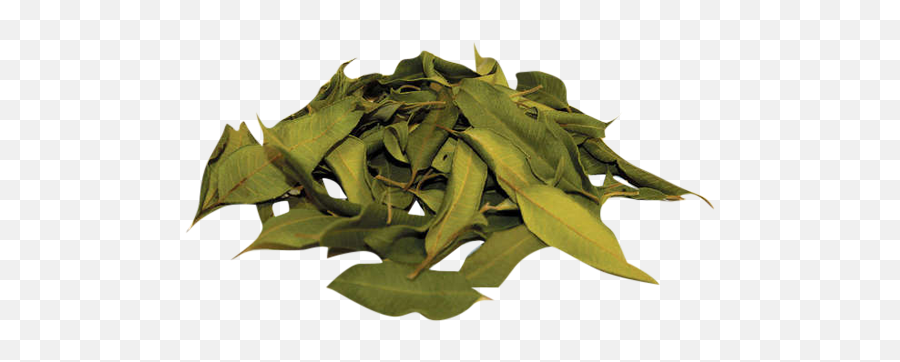 Lemon Myrtle Loose Tea Leaves - Dried Lemon Leaves Full Emoji,Tea Leaves Png