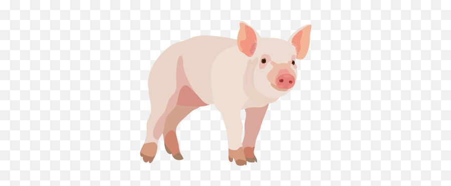 201408 Pig - Pig Png Emoji,Pig Png