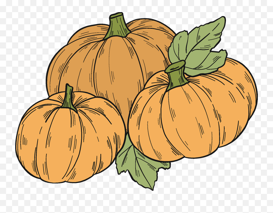 Pumpkin Patch Clipart - Superfood Emoji,Pumpkin Patch Clipart