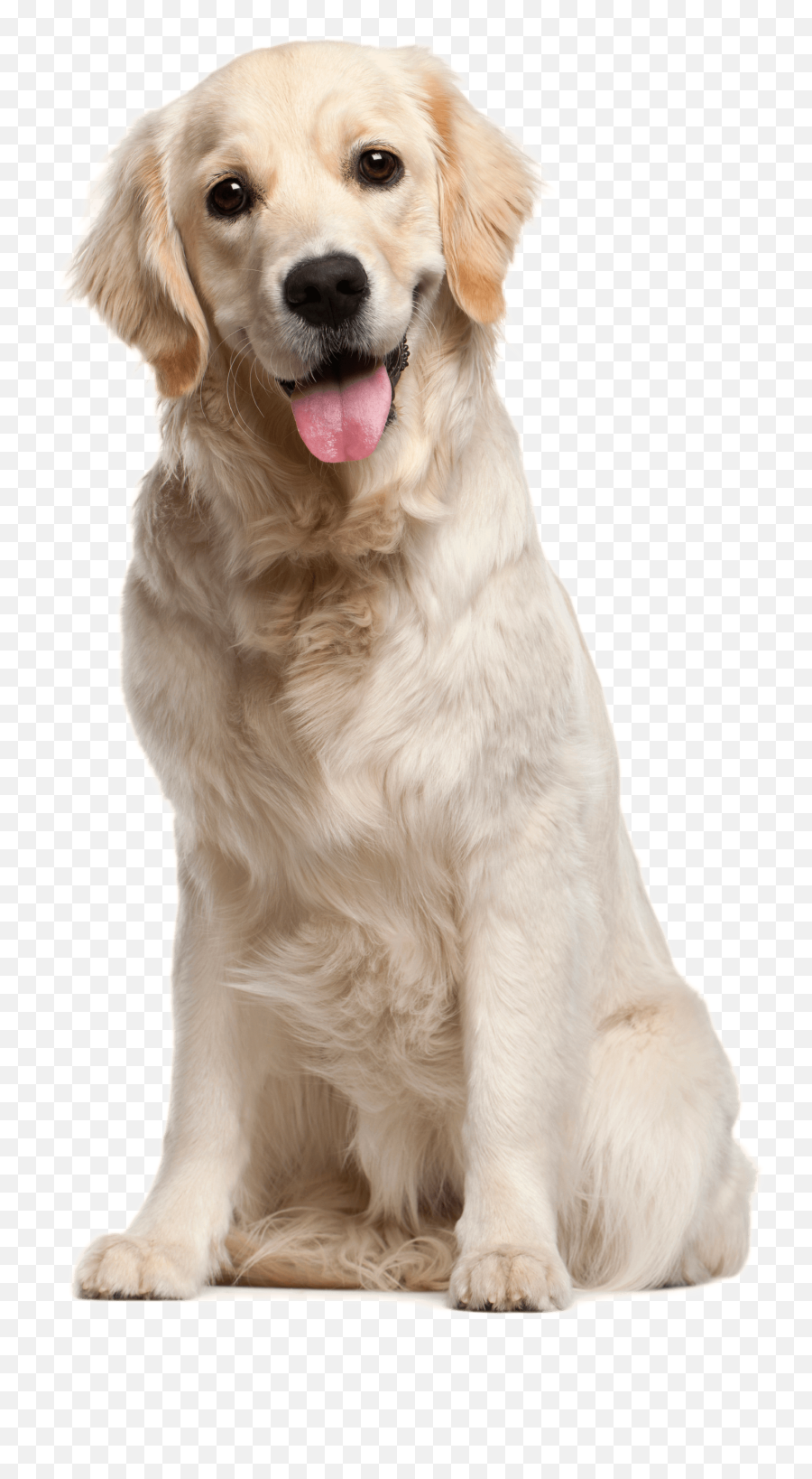 Dog Png File - Dog Png Emoji,Dog Png