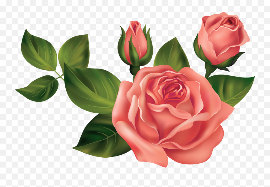 Vintage Diy Birthday Wishes Birthday - Transparent Roses Emoji,Roses Transparent