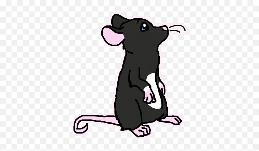Top Gym Rat Stickers For Android U0026 Ios Gfycat - Animated Gif Of Rat Emoji,Rat Transparent