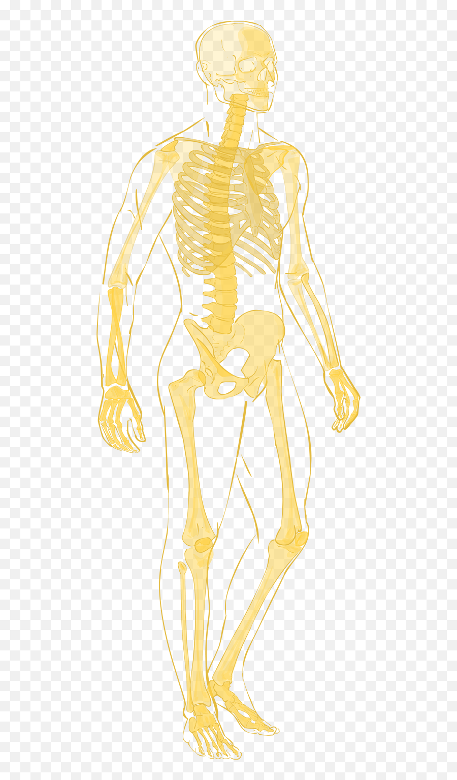 Vital Signs Of A Healthcare System Emoji,Anatomy Clipart