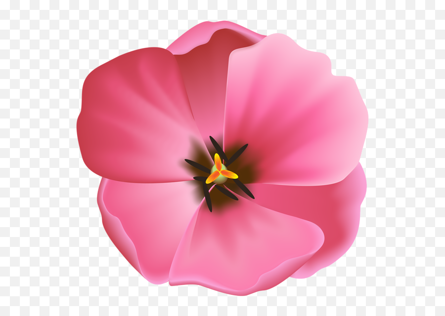 Open Pink Tulip Clipart Image - Violet Emoji,Tulip Clipart