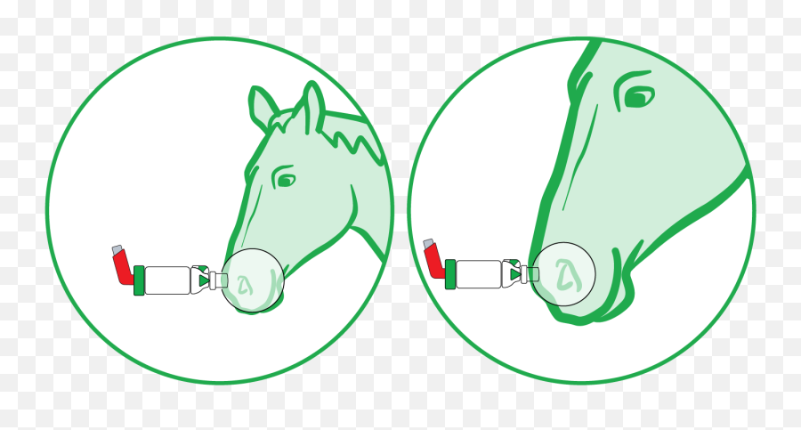 Using Aerohippus Trudell Animal Health Emoji,Horse Mask Png