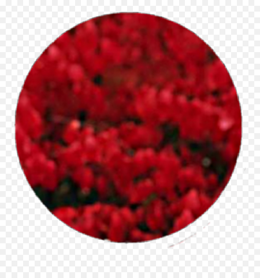 Download Circle Red Black Flower Smoke Aesthetic Emoji,Smoke Transparent Tumblr