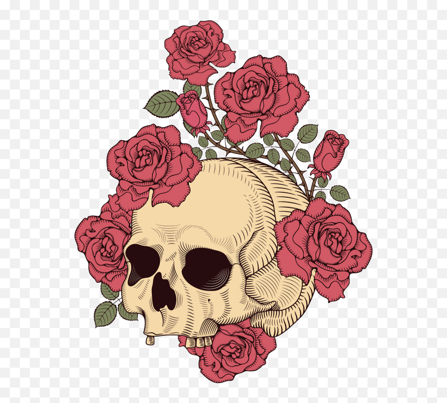 Download And Skull Rose Illustration T - Shirt Design Human Skull With Rose Transparent Emoji,Human Clipart