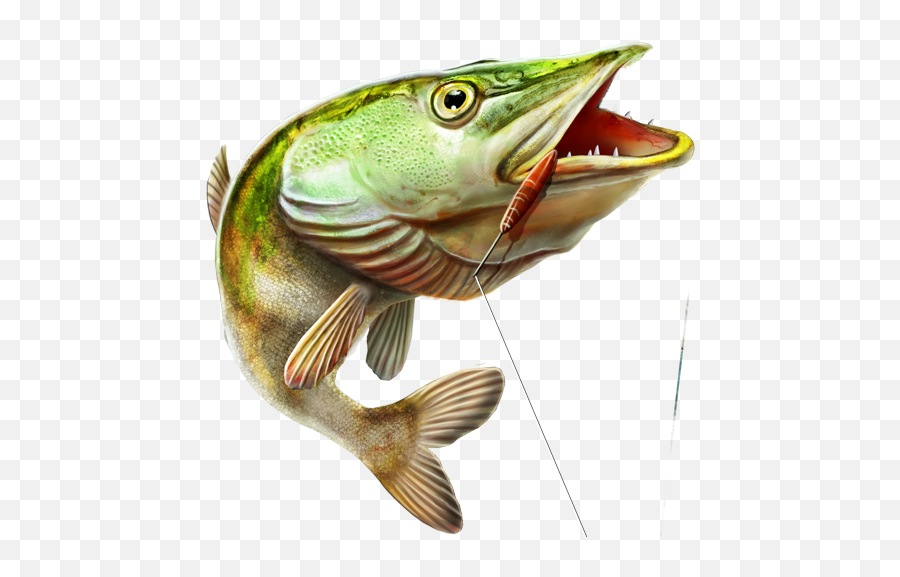 Fishing Png Free Download - Fishing Png Emoji,Fishing Png