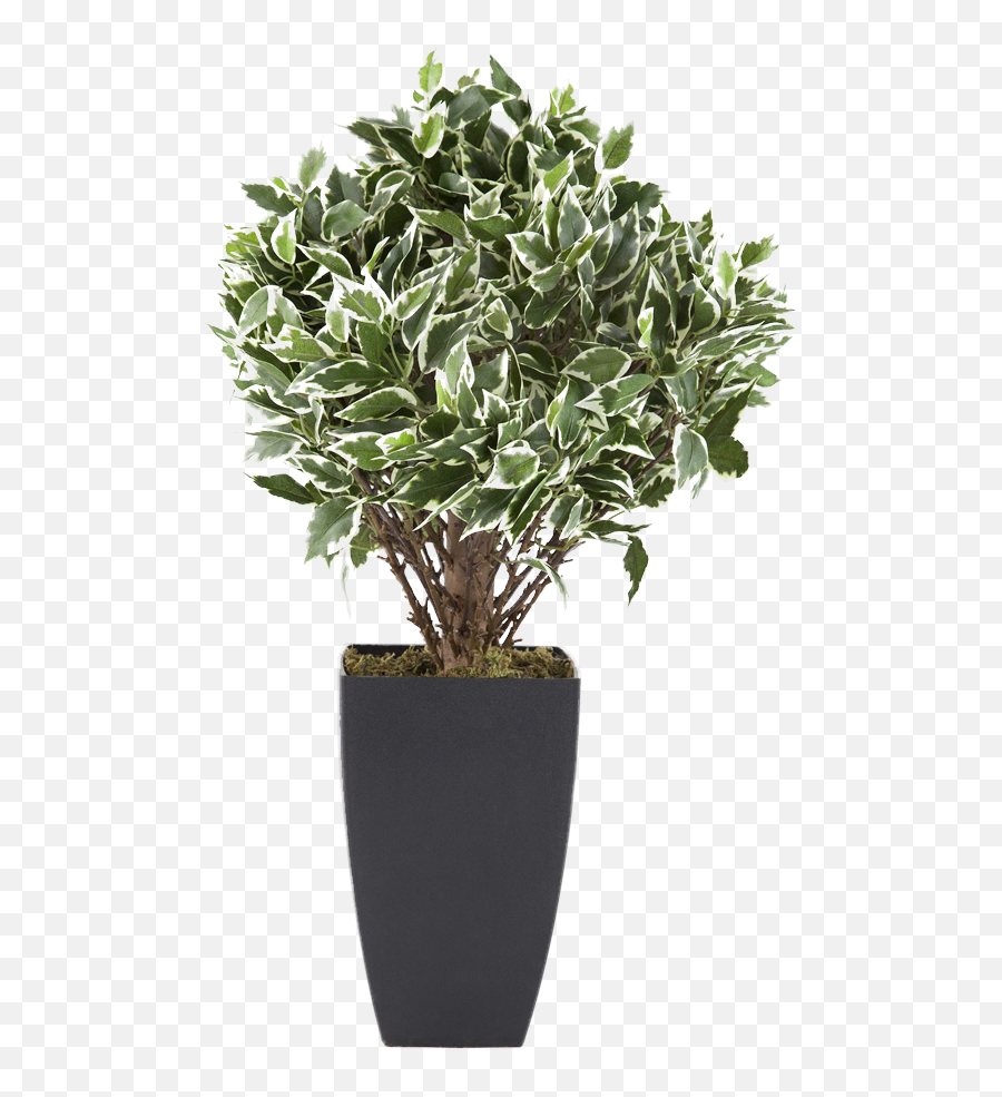 Flowerpot Houseplant Euclidean Vector Tree - Potted Plants Emoji,Potted Plant Transparent Background