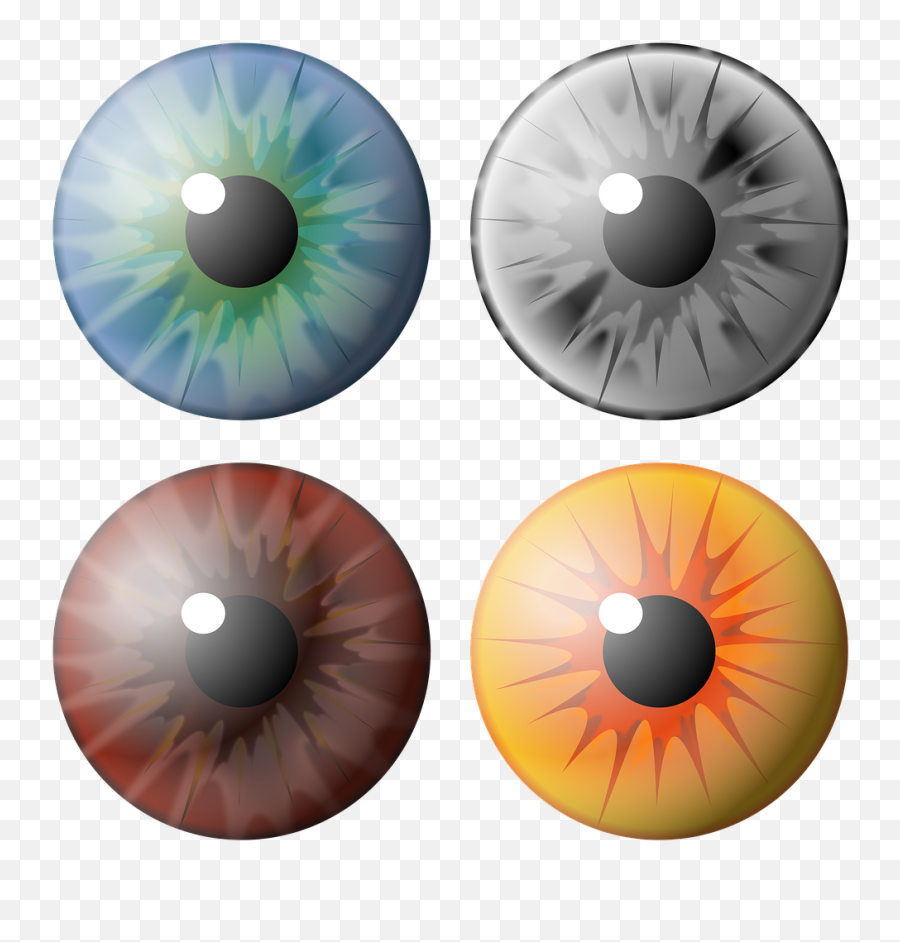 Download Free Photo Of Eye Pupil Iris See Vision - From Emoji,Eye Clipart Free