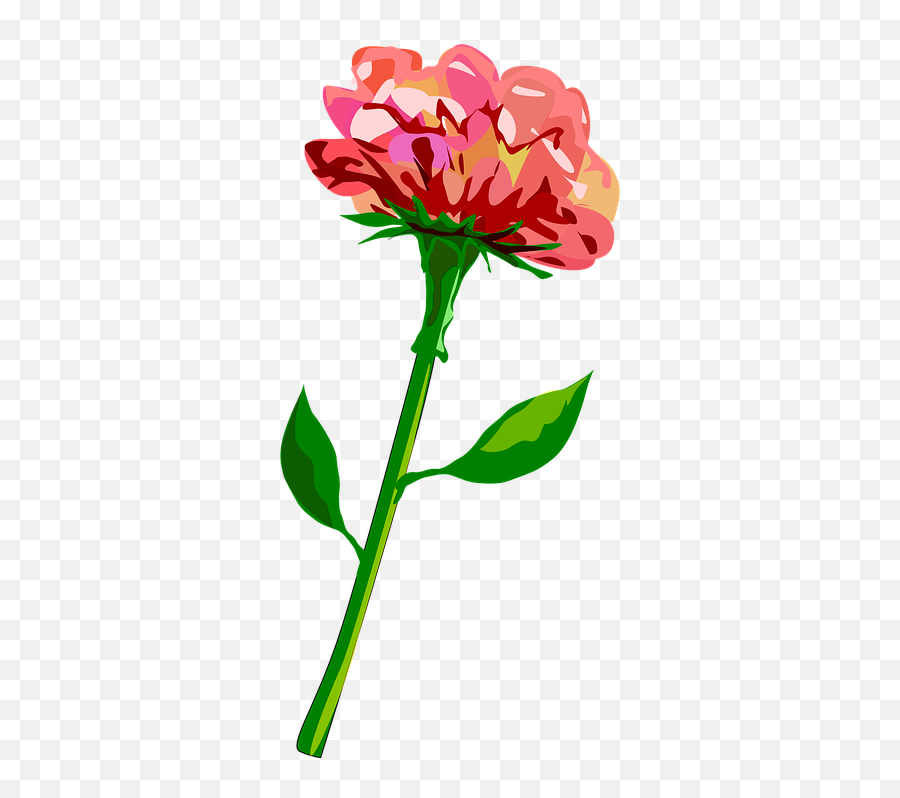 Stem Clipart Carnation Flower - Clipart Flower With Stem Png Emoji,Stem Clipart