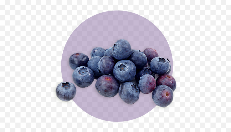 A U201cberryu201d Beneficial Ingredient U2013 Primal Pet Foods - Mermelada De Arándanos Azul Emoji,Blueberries Png