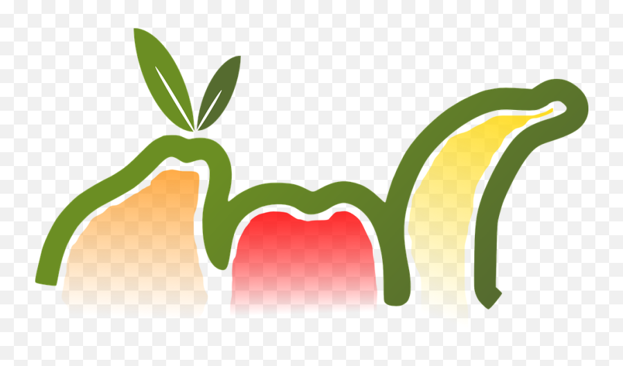 Fruits Pear Apple - Free Vector Graphic On Pixabay Fruit Emoji,Apple Logo Vector