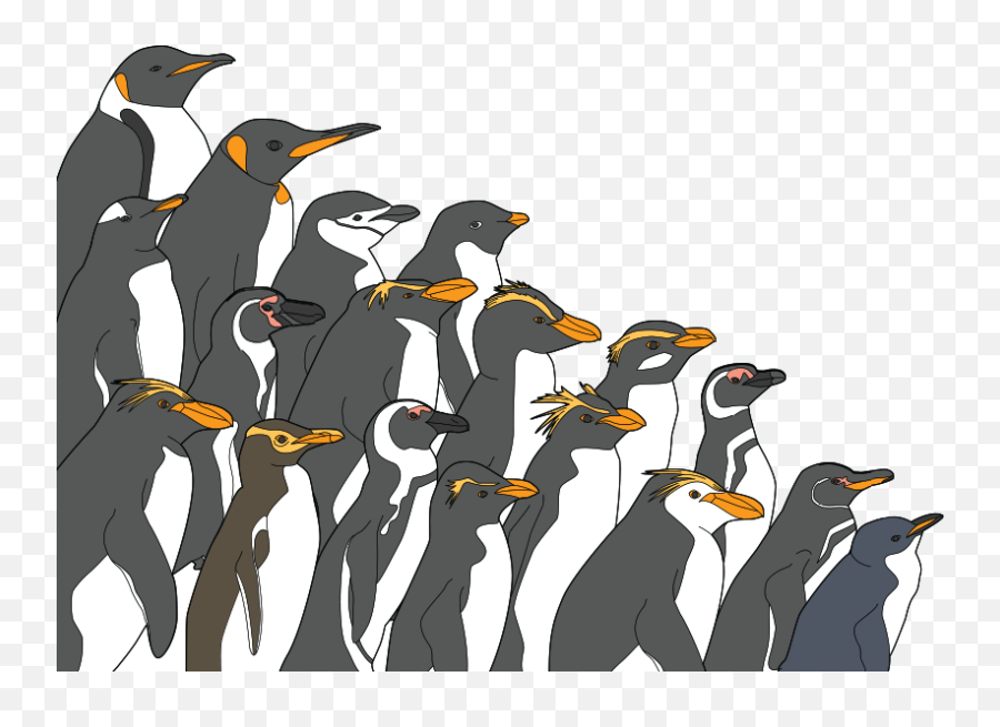 Penguins Trends And Threats The Pew Charitable Trusts - Penguin Size Of The World Emoji,Population Clipart