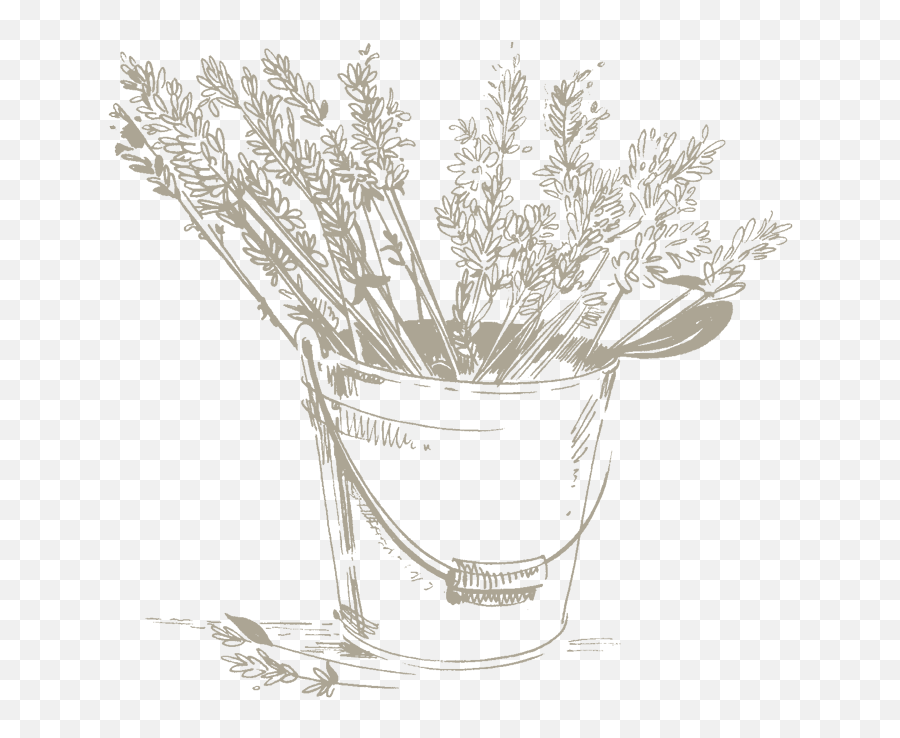 Download Hd Lavender Water Is Used In Cosmetics For Its Emoji,Lavender Clipart Black And White