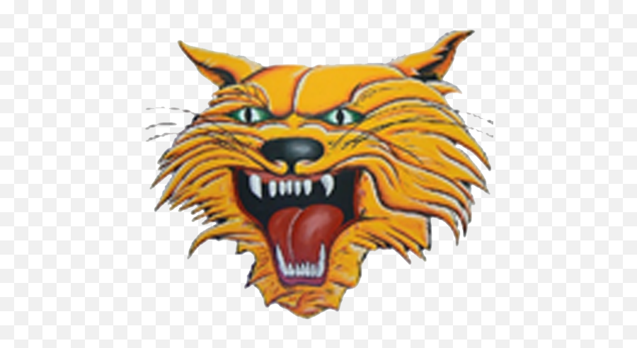 The Kalida Wildcats Vs The Fort Jennings Musketeers Emoji,Wildcats Clipart