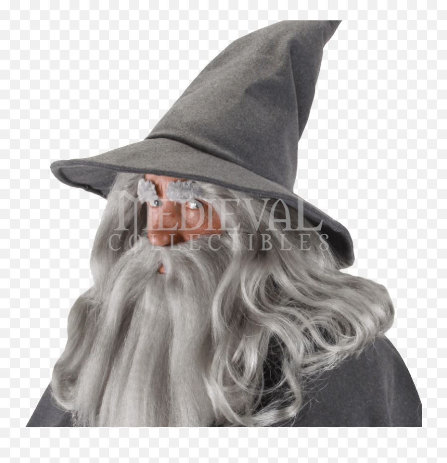 Download Gandalf Hat Transparent Hq Png Image Freepngimg - Gandalf Hat Emoji,Witch Hat Transparent