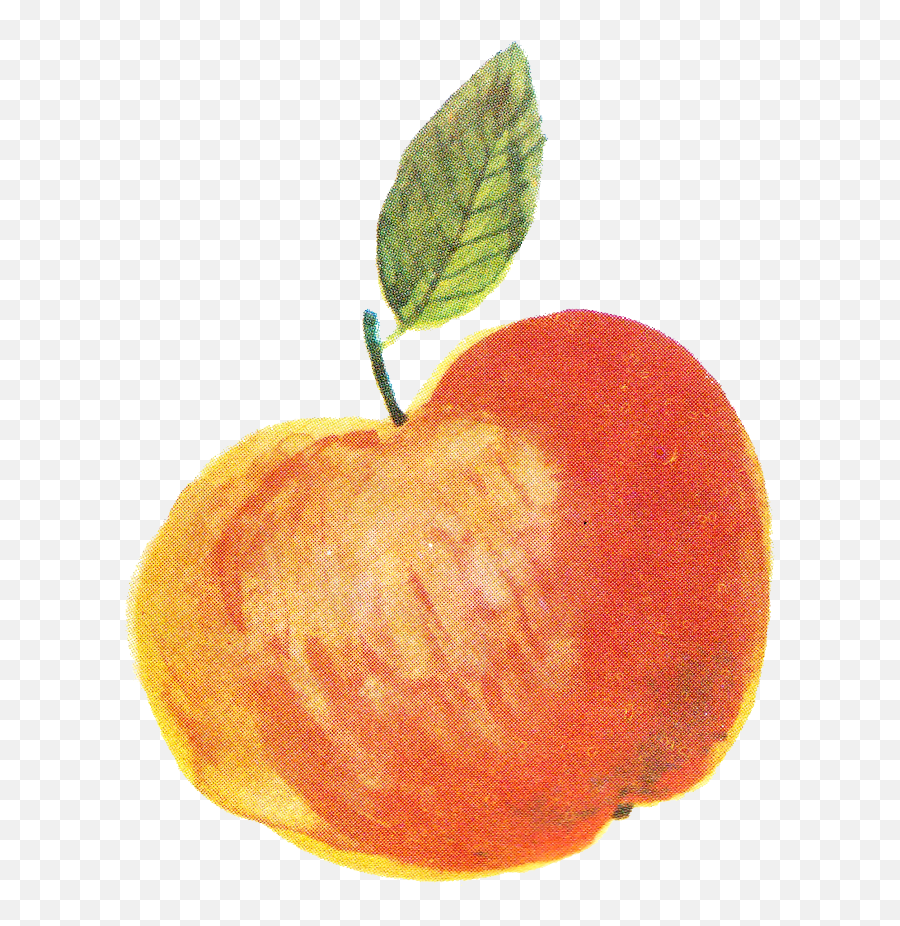 Apple Watercolor Png Transparent Onlygfxcom Emoji,Watercolor Pumpkin Clipart