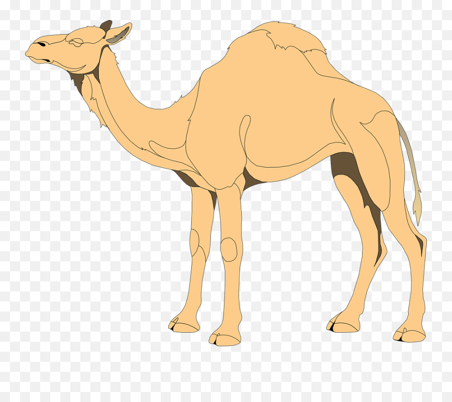 Camel Clip Art At Clker - Camel Vector Png Emoji,Camel Clipart