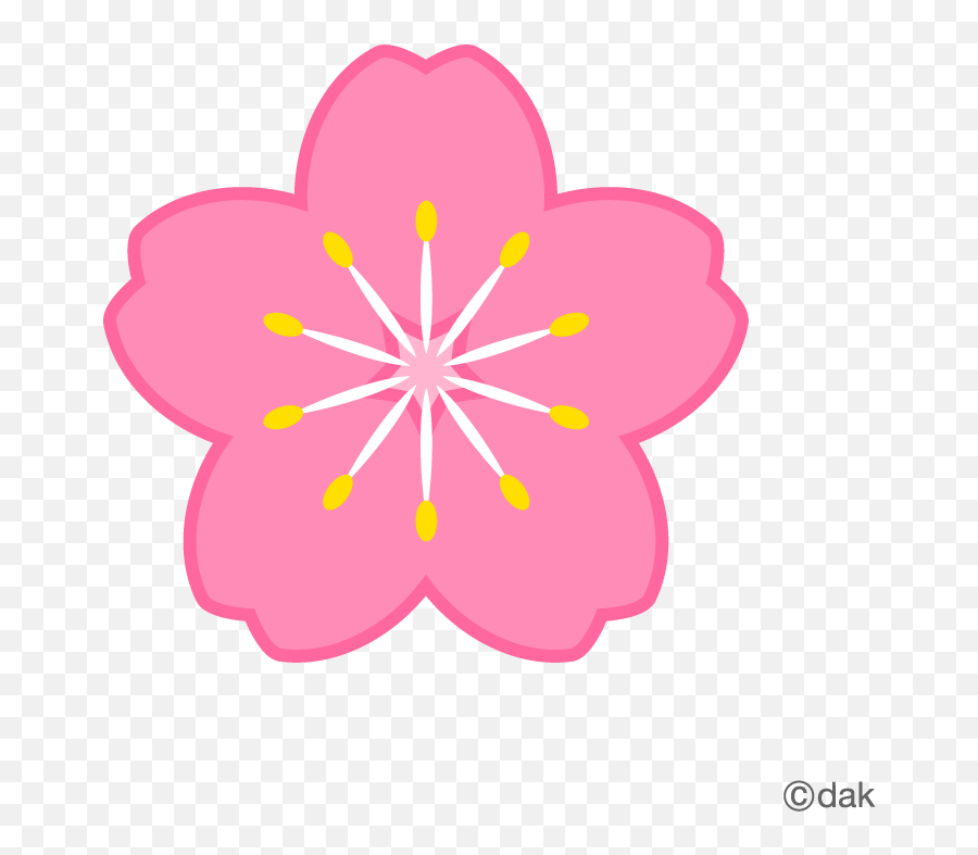 Flowerplantbotanycut Flowersbranchpedicelplant Stem - Sakura No Hana Png Emoji,Bandaid Clipart