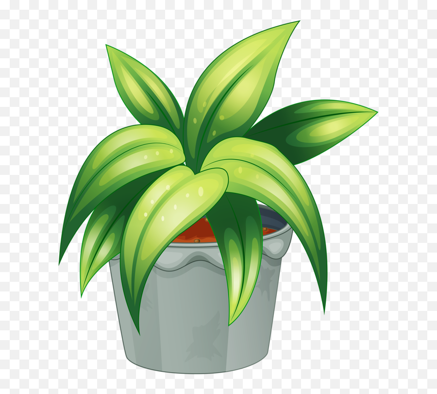 Download Pot Plant Clipart Botany - Draw Non Flowering Plants Emoji,Plant Clipart