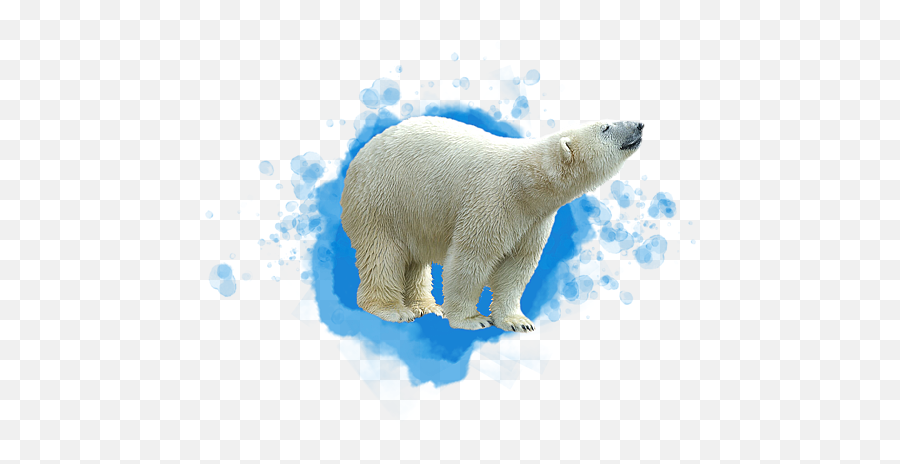 Pittsburgh Zoo Ppg Aquarium - Polar Bear Emoji,Pittsburgh Zoo Logo