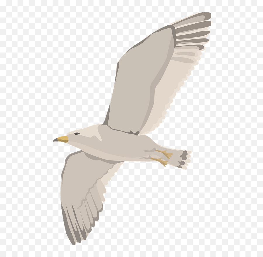 Seagull Clipart - European Herring Gull Emoji,Seagull Clipart