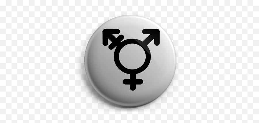 Gender Identity Pride Flags Glyphs Symbols And Icons Emoji,Transgender Symbol Png