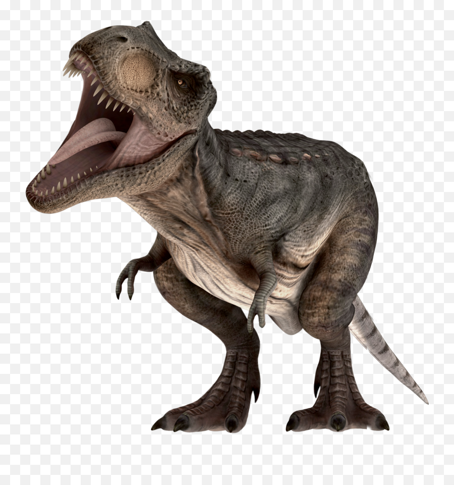 Download Hd Twitter Png Transparent Images Png Alltwitter - Dinossauros Jurassic Park Hd Png Emoji,Twitter Transparent Logo