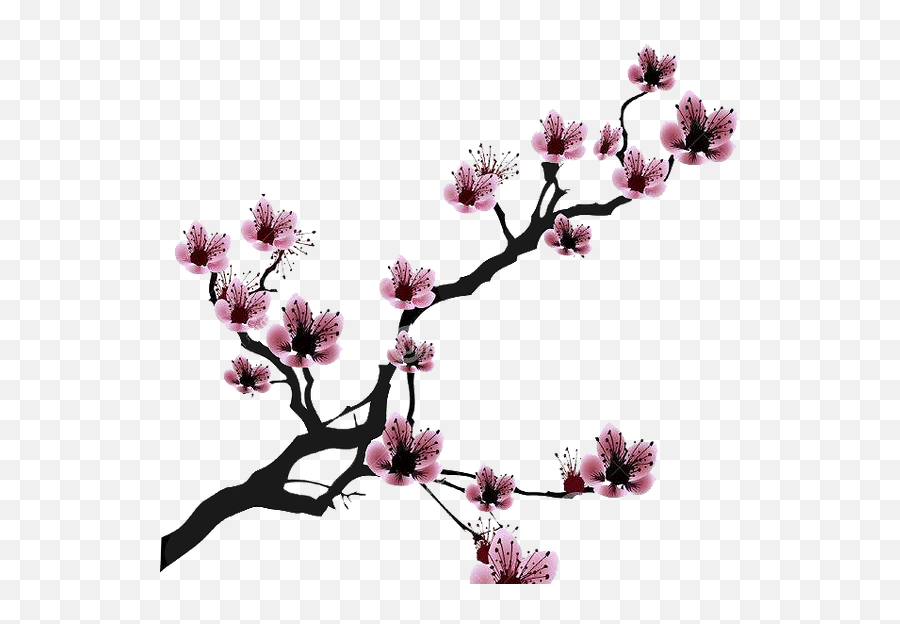 Cherry Blossom Drawing Clip Art - Black Cherry Blossom Art Cherry Blossom Branch Png Emoji,Cherry Blossom Clipart