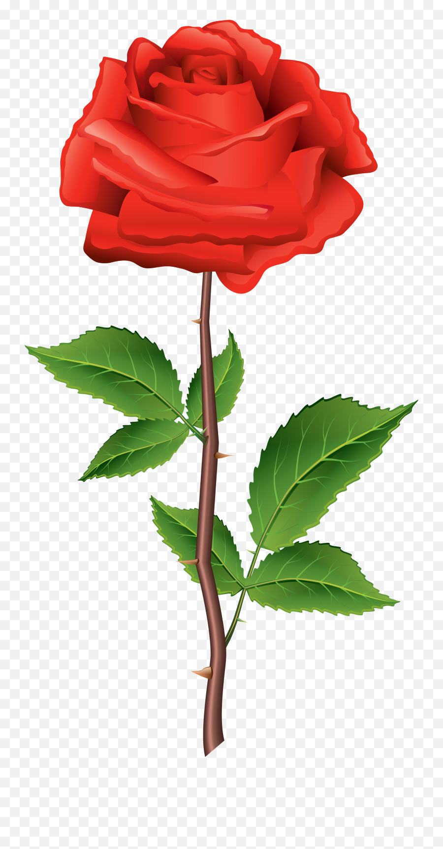 Stem Red Rose Png Clipart - Portable Network Graphics Emoji,Stem Clipart