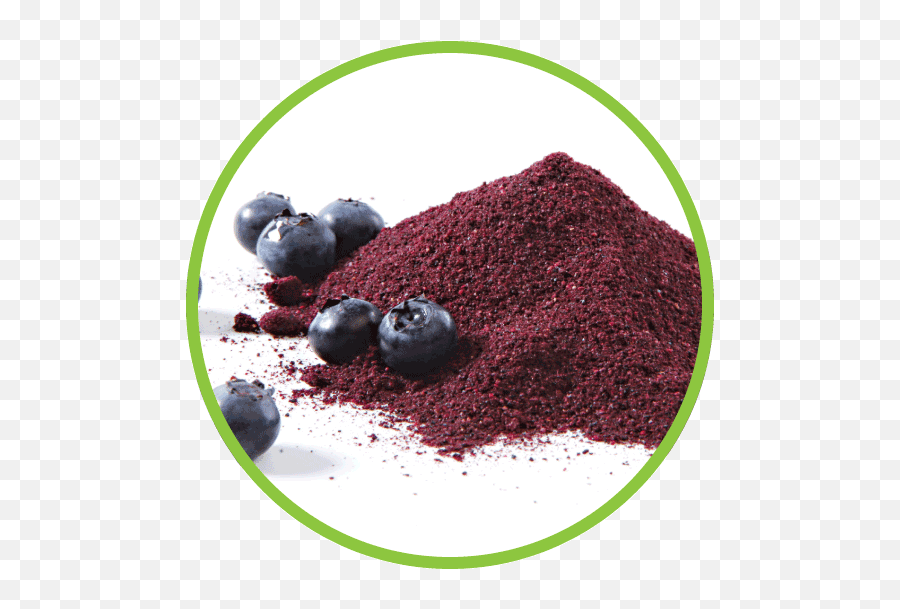 Single Blueberry - Freeze Dried Blueberries Powder Blueberries Powder Emoji,Blueberries Png