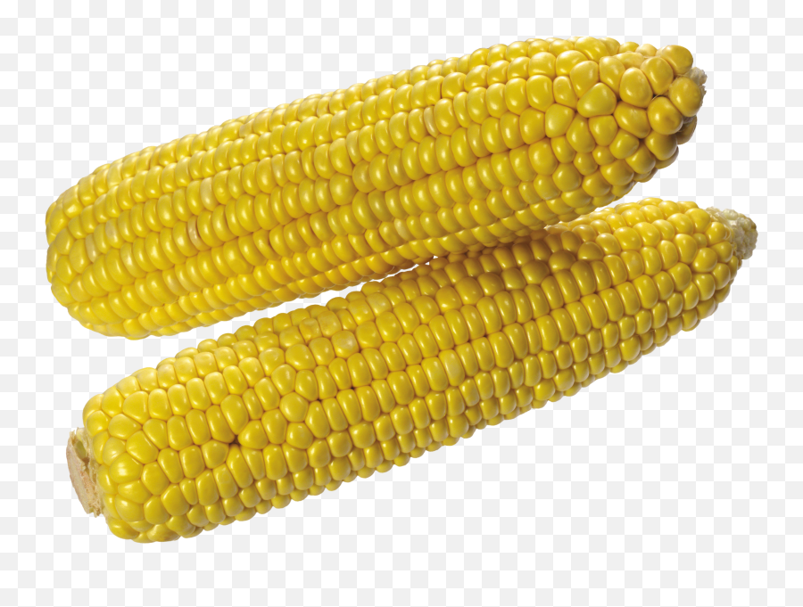 Corn Clipart Png - Realistic Corn Png Emoji,Corn Clipart