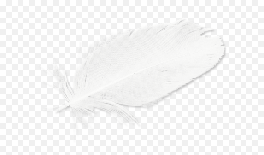 Download Feathers White Black Feather Hd Image Free Png - Decorative Emoji,Feather Clipart Black And White