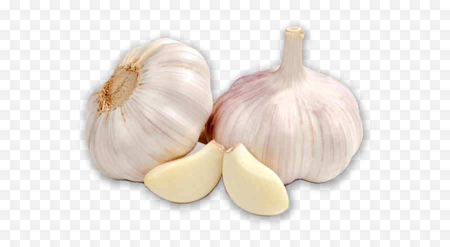 Garlic - Garlic Hd Emoji,Garlic Clipart