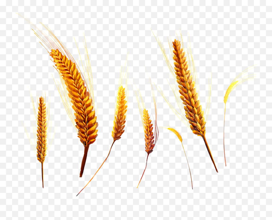 Wheat Png Image Emoji,Wheat Png