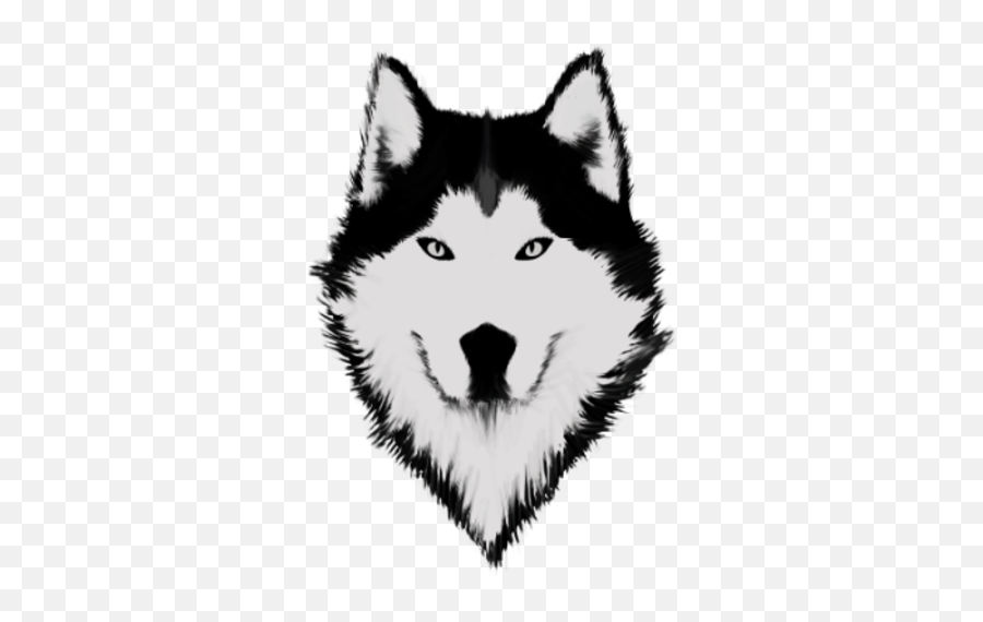 Cool Wolf Face White And Black Color - Frankly Wearing Northern Breed Group Emoji,Wolf Face Png