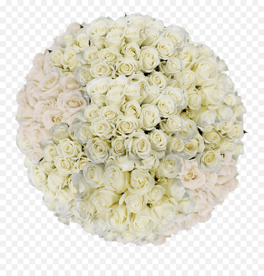 White Roses Bulk Emoji,White Rose Transparent