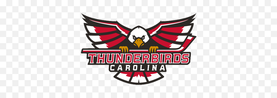 Coach Andre Niec Of The Thunderbirds - Carolina Thunderbirds Thunderbirds Hockey Emoji,Thunderbird Logo