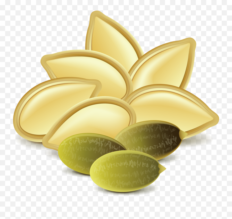 Library Of Pumpkin Seeds Svg Png Files - Pumpkin Seed Vector Png Emoji,Seed Clipart