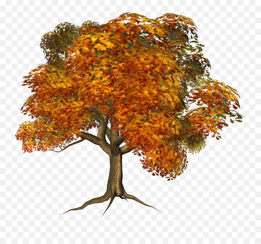 Autumn Trees Clipart Images Png Transparent U2013 Free Png - Transparent Fall Tree Png Emoji,Trees Clipart