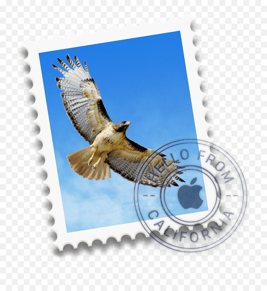 Email Signature With A Logo In Os X - Os X Mail Emoji,Email Logo