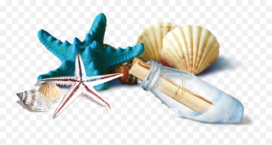 Seashells Starfish Bottle Clipart Png In 2021 Starfish Emoji,Seashells Clipart