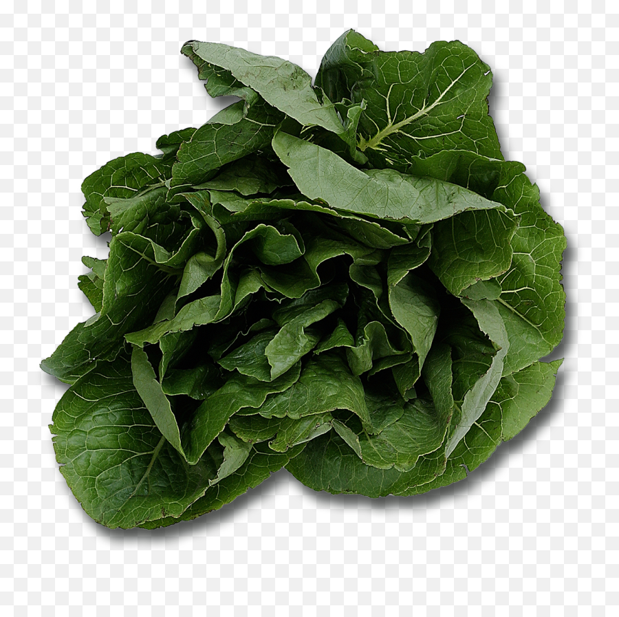 Spinach Png Emoji,Lettuce Leaf Clipart