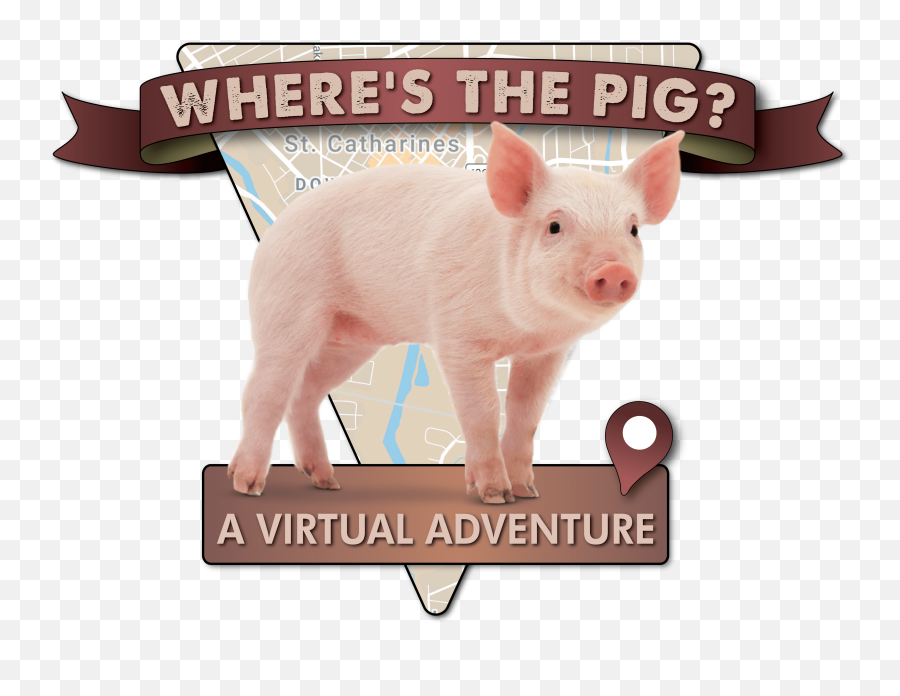 Whereu0027s The Pig U2013 Episode 4 Streetscapes - Animal Figure Emoji,Pig Logo