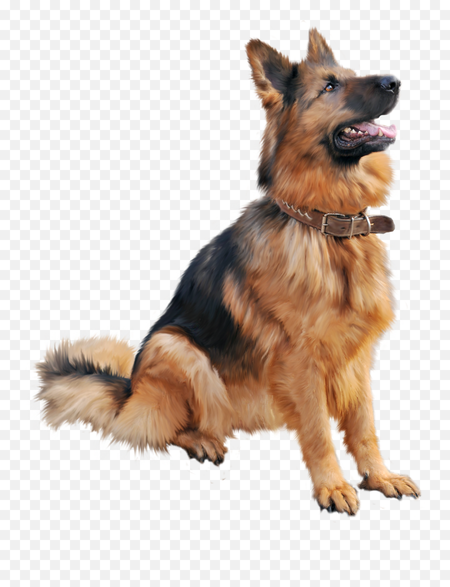 Dog Png Images - Dog Png Emoji,Dog Png