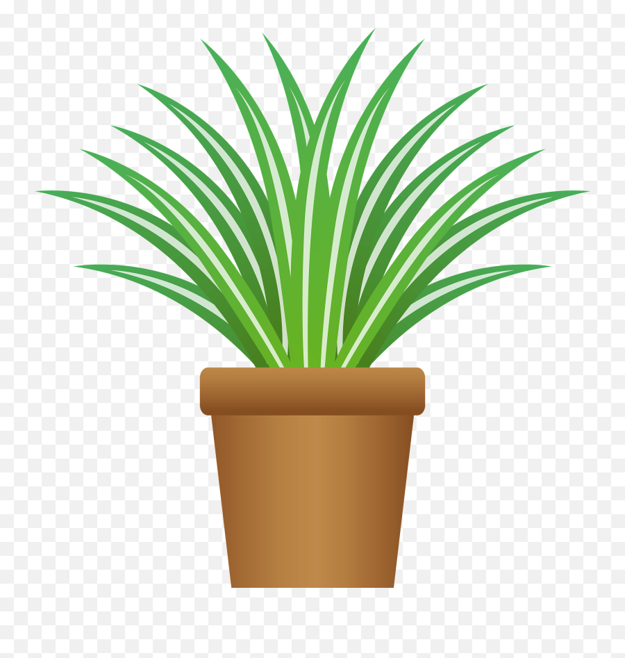 Chlorophytum Comosum - Flowerpot Emoji,Plant Clipart