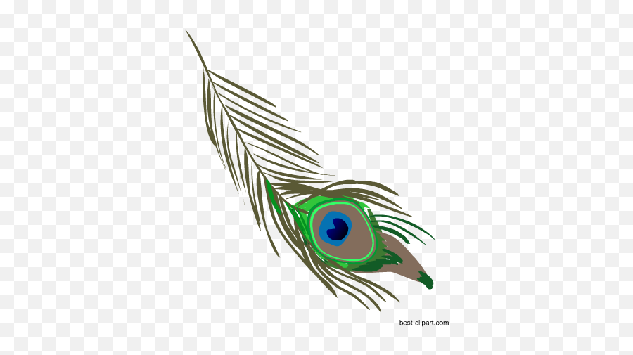 Free Tribal Aztec Boho Clip Art - Peacock Feather Illustration Png Emoji,Boho Clipart
