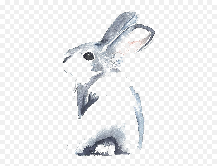 Download Little Watercolour Watercolor Cinnamon Rabbit - Animales Para Pintar Con Acuarela Emoji,Cinnamon Clipart