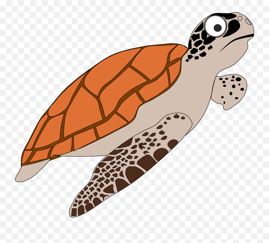 Silhouette Dxf Files Free Download - Clip Art Loggerhead Sea Turtle Clipart Emoji,Turtle Clipart